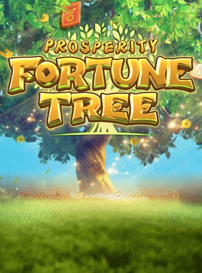 Live game show casino cover